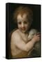 John the Baptist as Child-Andrea del Sarto-Framed Stretched Canvas