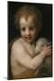 John the Baptist as Child-Andrea del Sarto-Mounted Giclee Print