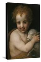 John the Baptist as Child-Andrea del Sarto-Stretched Canvas