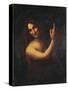 John the Baptist-Leonardo da Vinci-Stretched Canvas