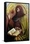 John the Baptist-Jan van Eyck-Framed Stretched Canvas