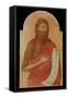 John the Baptist-Ugolino Di Nerio-Framed Stretched Canvas