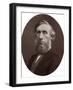 John Tyndall, DCL, LLD, FRS, Professor of Natural Philosophy at the Royal Institution, 1877-Lock & Whitfield-Framed Photographic Print