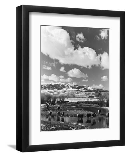Photographic Print, , large