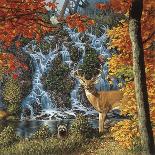 Afternoon at Sanctuary Falls-John Van Straalen-Giclee Print