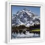 White Frame