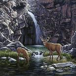 Sanctuary Falls-John Van Straalen-Framed Giclee Print