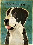 Scottish Terrier-John W Golden-Giclee Print