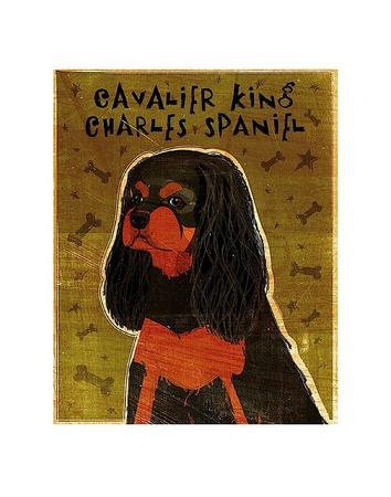Cavalier King Charles (black and tan)