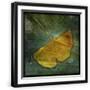 Black Frame