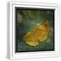 White Frame