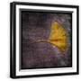 Black Frame