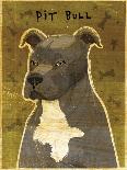 Pit Bull (Gray)-John W Golden-Giclee Print
