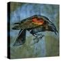 Stretched Canvas