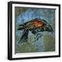 Black Frame