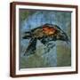 Brown Frame