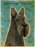 The Artful Raccoon-John W Golden-Giclee Print