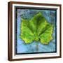 Chelsea Espresso