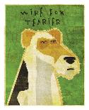Wire Fox Terrier-John W^ Golden-Art Print