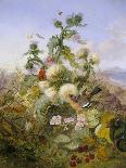 Nature's Glory-John Wainwright-Stretched Canvas