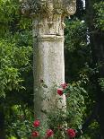 Andalucia, Seville, A Classical Column Surrounded by Roses in Gardens of Alcazar Palace, Spain-John Warburton-lee-Photographic Print