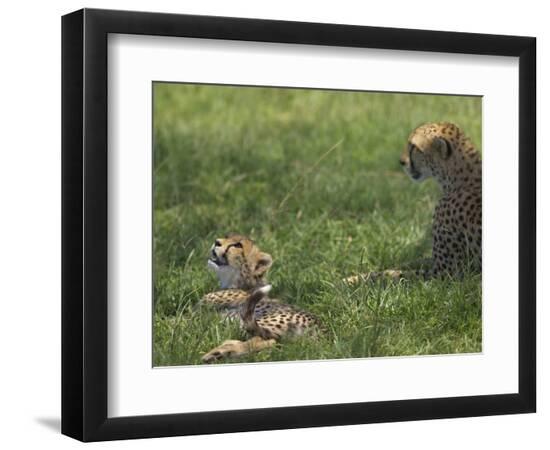 Premium Photographic Print, , large