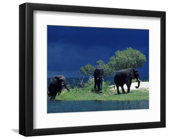 Premium Photographic Print, , large