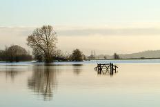 A Solitary Gate in Calm Flood-Waters in Farmland on West Sedgemoor, Near Stoke St Gregory-John Waters-Stretched Canvas