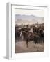 John Wayne Filming "The Undefeated"-John Dominis-Framed Premium Photographic Print