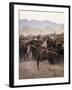 John Wayne Filming "The Undefeated"-John Dominis-Framed Premium Photographic Print