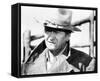 John Wayne - The Cowboys-null-Framed Stretched Canvas