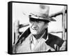 John Wayne - The Cowboys-null-Framed Stretched Canvas