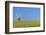 John Webb's Mill (Lowe's Mill), Thaxted, Essex, England, United Kingom, Europe-Alan Copson-Framed Photographic Print