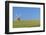 John Webb's Mill (Lowe's Mill), Thaxted, Essex, England, United Kingom, Europe-Alan Copson-Framed Photographic Print