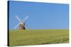 John Webb's Mill (Lowe's Mill), Thaxted, Essex, England, United Kingom, Europe-Alan Copson-Stretched Canvas