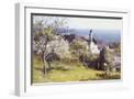 White Frame