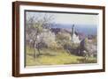 Brown Frame