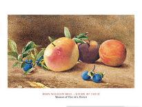 Study Of Fruit, 1877-John William Hill-Art Print