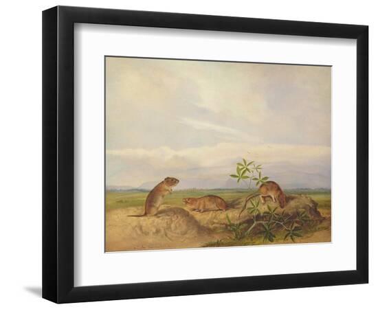 Giclee Print, , large