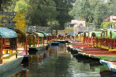 Close Up of the Colourful Wooden Boats at the Floating Gardens in Xochimilco-John Woodworth-Photographic Print