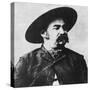 John X Beidler, Leader of the Montana Vigilantes, C1860S-null-Stretched Canvas