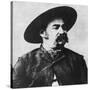 John X Beidler, Leader of the Montana Vigilantes, C1860S-null-Stretched Canvas