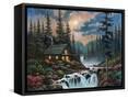 Framed Canvas