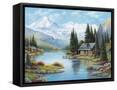 Framed Canvas