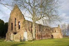 Beauly Priory, Scotland-johnbraid-Photographic Print