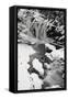 Framed Canvas