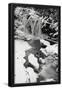 Essential Black