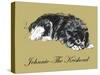 Johnnie-The Keeshond-Lucy Dawson-Stretched Canvas