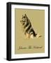 Johnnie The Keeshond-Lucy Dawson-Framed Art Print