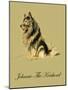 Johnnie The Keeshond-Lucy Dawson-Mounted Art Print